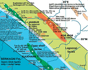 Petroleum geology of the area around Jambur and Pulkhana.